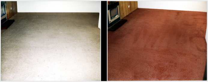 carpet redyeing